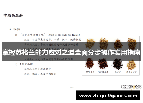 掌握苏格兰能力应对之道全面分步操作实用指南 掌握苏格兰能力应对之道全面分步操作实用指南