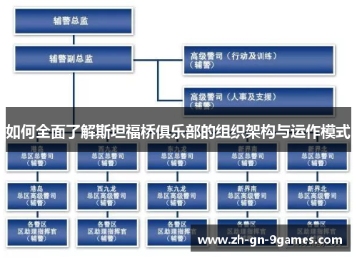 如何全面了解斯坦福桥俱乐部的组织架构与运作模式
